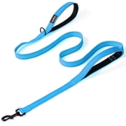 JoyPetto Heavy Duty Dog Leash with Double Handle for Large & Medium Dogs: 6 FT Reflective Nylon, Traffic Control Padded, Blue