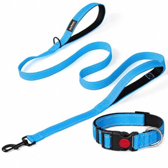 JoyPetto Reflective Dog Collar & 6FT Double Handle Leash Set, 3mm Neoprene Padded Heavy Duty Nylon Walking Gear for Large Dogs, Night Safety, Blue