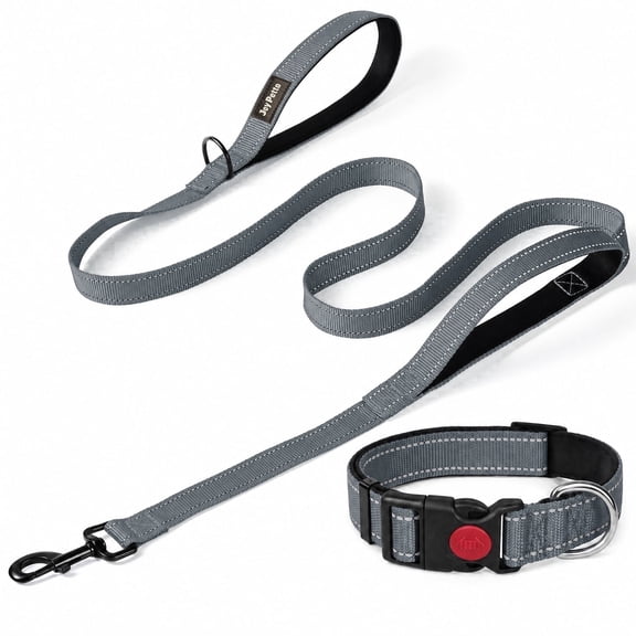 JoyPetto Reflective Dog Collar & 6FT Double Handle Leash Set, 3mm Neoprene Padded Heavy Duty Nylon Walking Gear for Large Dogs, Night Safety, Grey