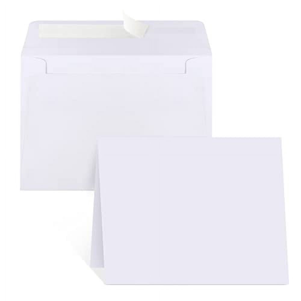 All-occasion Greeting Cards Multi Porpoises Dolphin Note Cards - 10