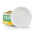 Joyborn 100 Compostable Paper Plates, HYZ01 10 Inch, 125 Count