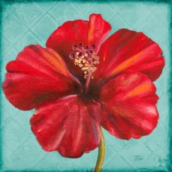 Joyful Hibiscus Poster Print by Patricia Pinto (12 x 12)