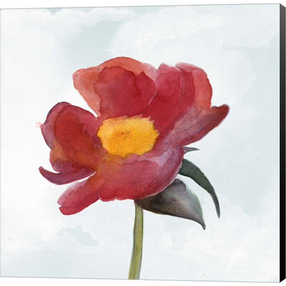 Joyful Peony I by Alicia Ludwig, Canvas Wall Art, 24W x 24H