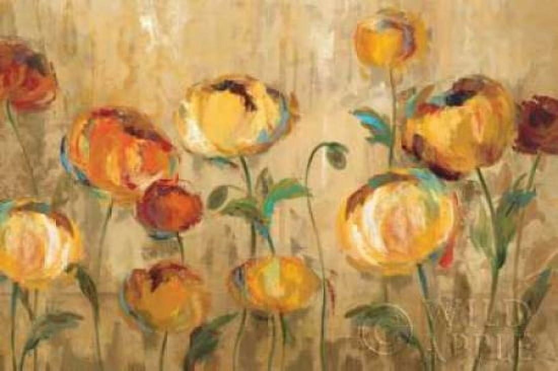 Joyful Ranunculi Canvas Art - Silvia Vassileva (12 x 18)