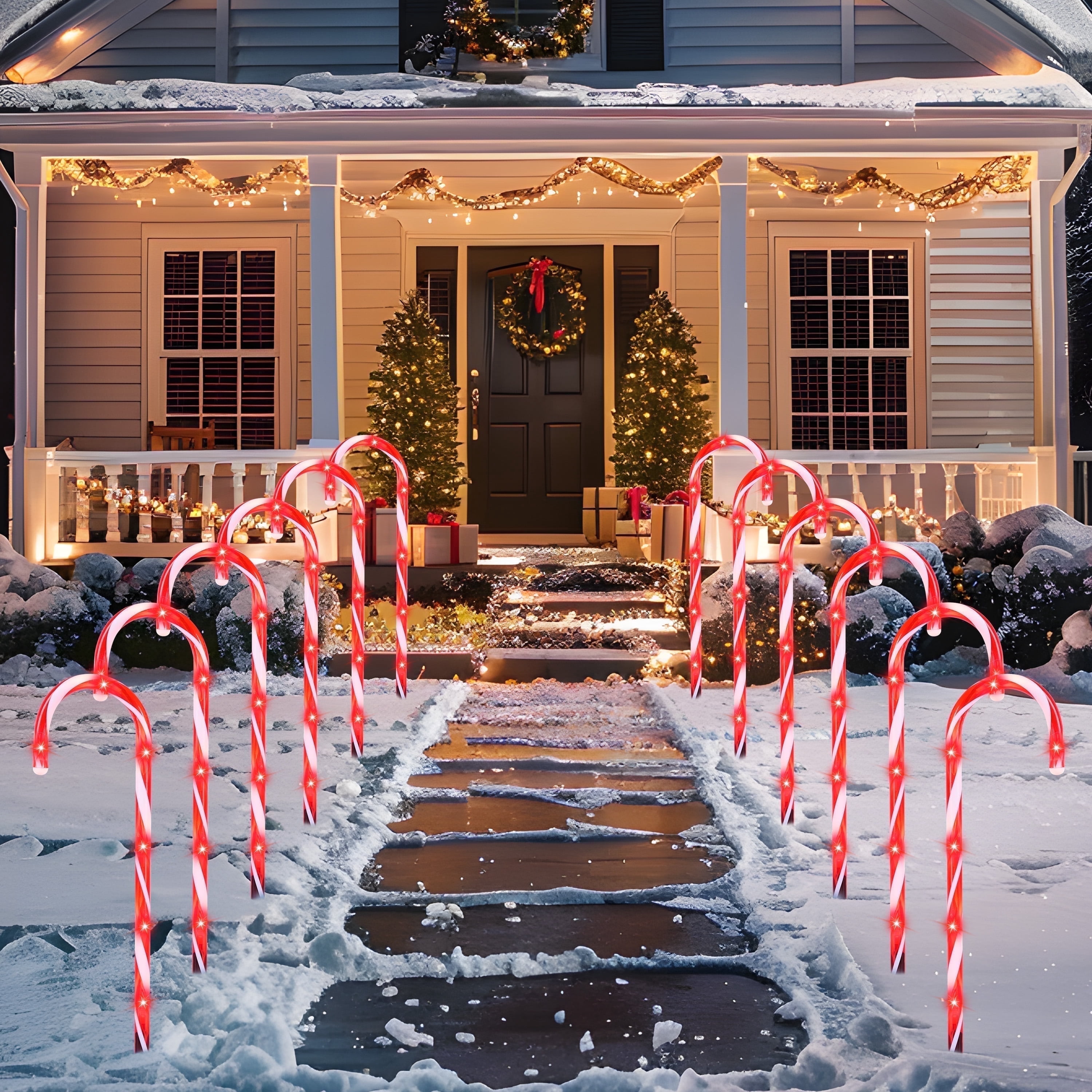 Outdoor Candy Cane Lightsnull