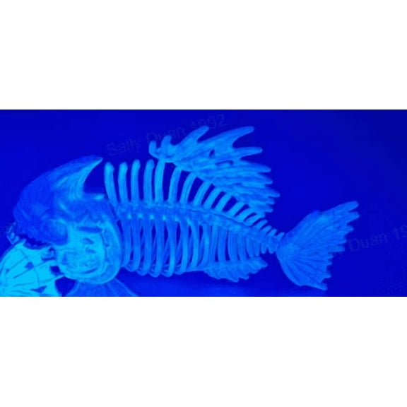 Joyfy 2 PCS Glow-in-the-dark Fish Skeleton