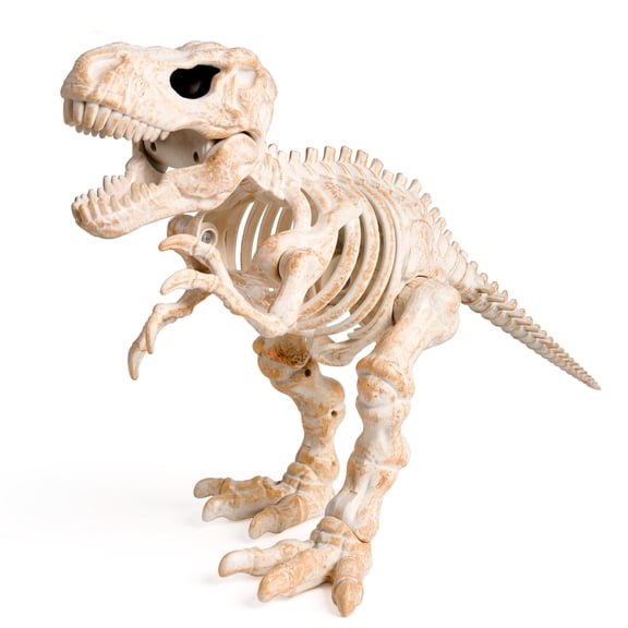 Joyfy 13.35" Dinosaur Skeleton