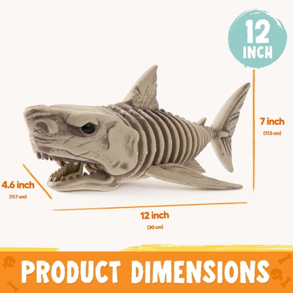 Joyfy Shark Skeleton