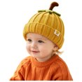thumbnail image 1 of Joykidd Toddler Halloweem Pumpkin Knit Beanie Ribbed Stretchy Infant Hat for Fall Daily Outings and Holiday, 1 of 7