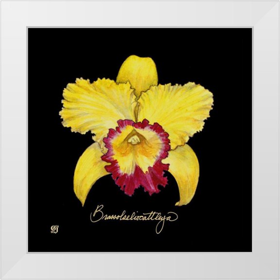 Joyner, Ginny 12x12 White Modern Wood Framed Museum Art Print Titled - Vivid Orchid VII