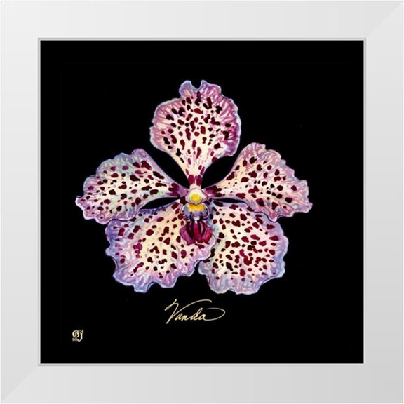 Joyner, Ginny 12x12 White Modern Wood Framed Museum Art Print Titled - Vivid Orchid V
