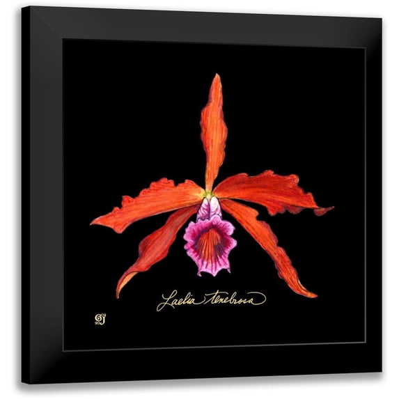 Joyner, Ginny 20x20 Black Modern Framed Museum Art Print Titled - Vivid Orchid II