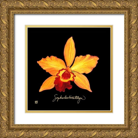 Joyner, Ginny 26x26 Gold Ornate Wood Framed with Double Matting Museum Art Print Titled - Vivid Orchid VI