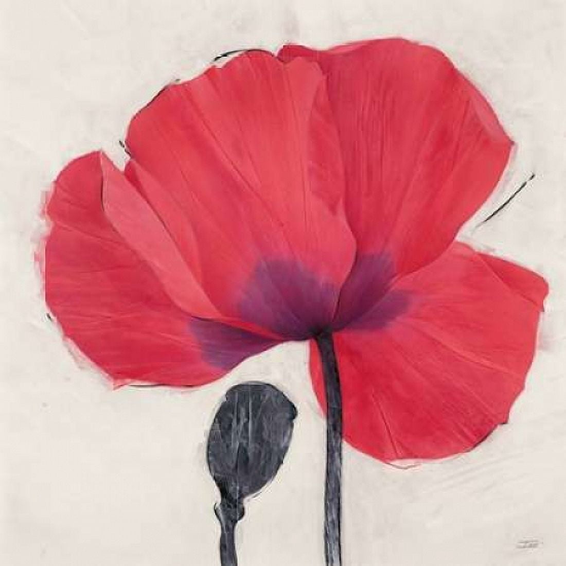Joyous Poppy Canvas Art - Ivo Stoyanov (24 x 24)