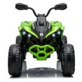 Joyracer 24V Ride on Toys, 4 Wheeler ATV for Kids with 2 Seater, 4x200W
