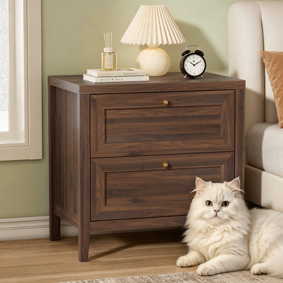 Joyyskill Nightstand with 2 Drawers, Wooden End Tables with Large Storage, Bedside Table, Brown