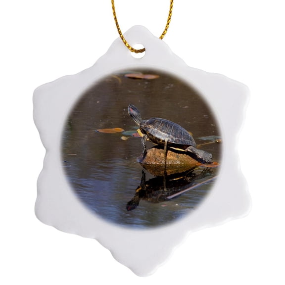 3drose, Juanita Bay, Pond Slider Turtle, Red-eared - Us48 Jwi3672 - Jamie and Judy Wild, 3 inch Snowflake Porcelain Ornament