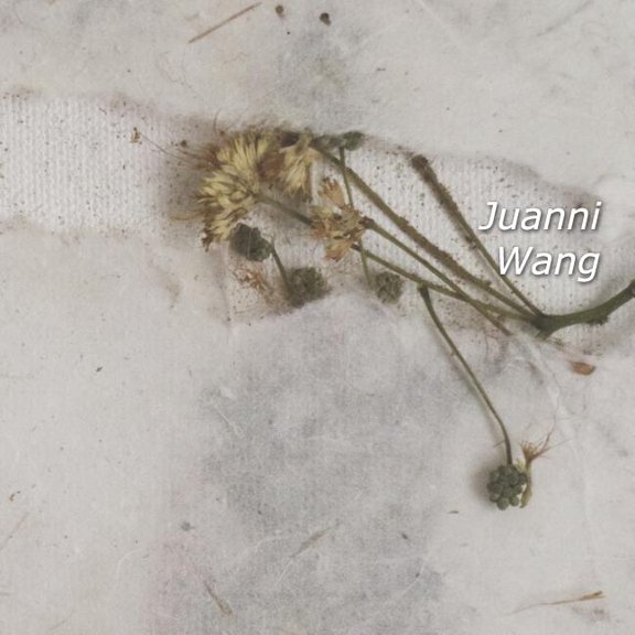 Juanni Wang : catalogo 2018 (Paperback)