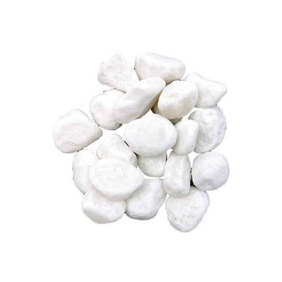 Jubilant 1 Set Stone Decor Multi-use Smooth Surface Natural Irregular Shape Stone Chip Decor for Handicrafts