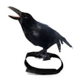 thumbnail image 1 of Jubilant  Black Decoration for Yard Lifesize Realistic Black Crow Decoration Halloween Prop with Bendable Feet for Indoor/outdoor for Haunted for Halloween, 1 of 8