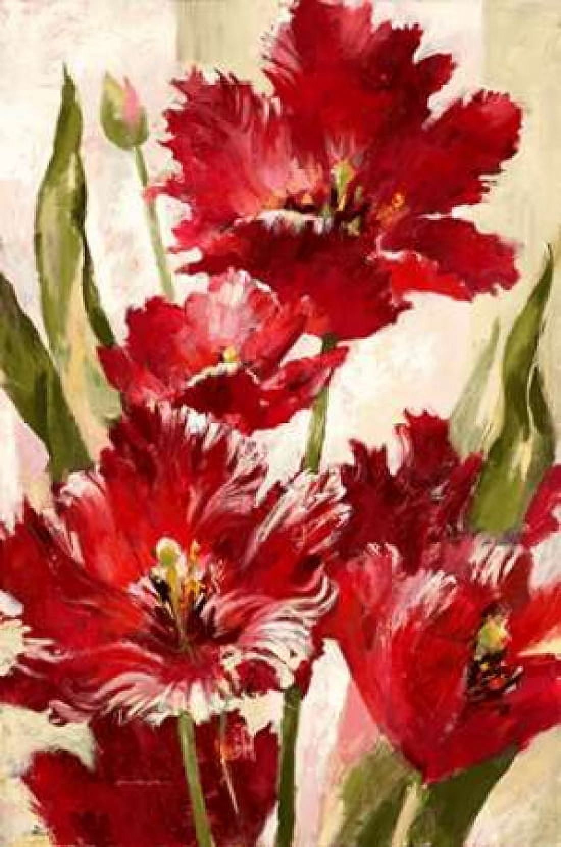 Jubilant Red Tulip Canvas Art - Brent Heighton (12 x 18)