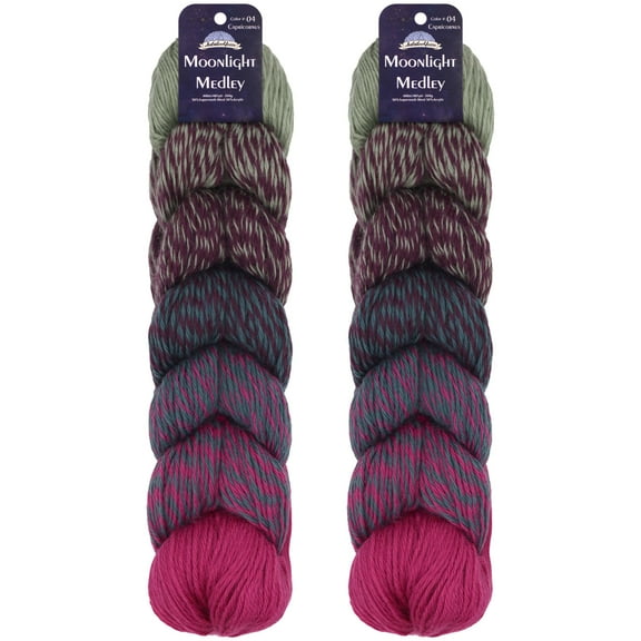 JubileeYarn Moonlight Medley Yarn - Ombré DK Merino Wool/Acrylic - 200g/Hank - Sagittarius - 2 Hanks