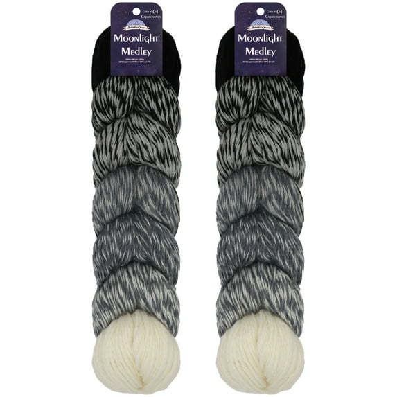 JubileeYarn Moonlight Medley Yarn - Ombré DK Merino Wool/Acrylic - 200g/Hank - Scorpius - 2 Hanks