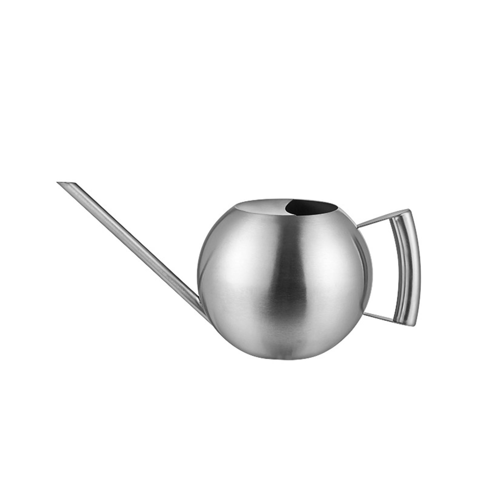 Jubipavy Stainless Steel Watering Can - 1L Metal Watering Can With Long Spout To Spillage Perfect Plant Watering Can For Outdoor And Indoor Plants Gift Home Saving