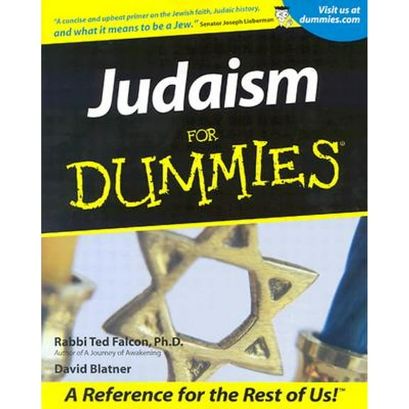 Pre-Owned Judaism for Dummies (Paperback) 0764552996 9780764552991