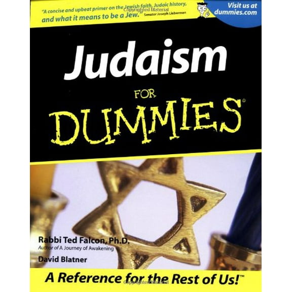 Pre-Owned Judaism for Dummies (Paperback) 0764552996 9780764552991