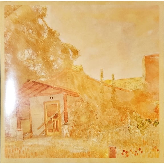 Foot Ox Judee & The Sun (Vinyl Record)