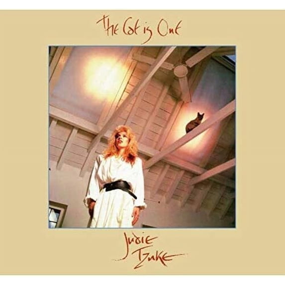 Judie Tzuke - Cat Is Out - CD