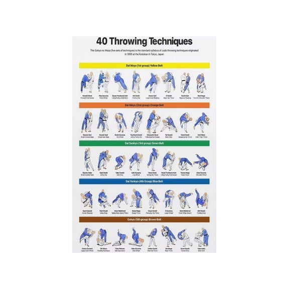 Judo Technique Reference Chart Poster Large Print Throws Classifications Educational Art For Athletes Coaches Martial Arts Training Space Decor