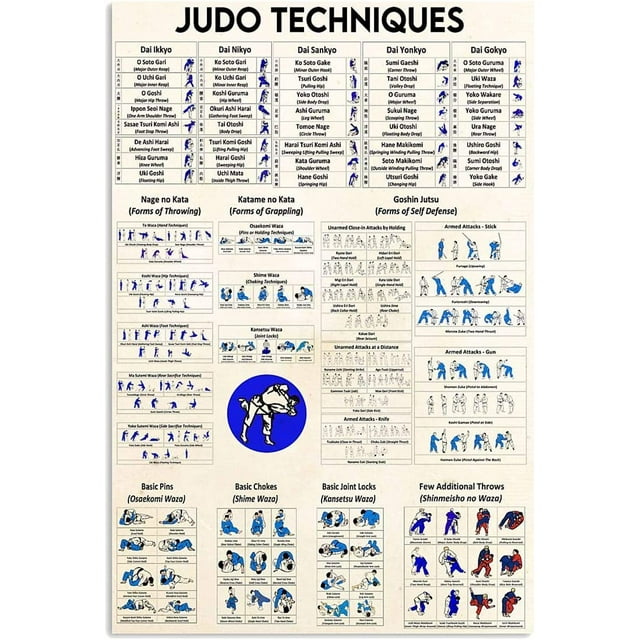 Judo Techniques Guide Metal Sign Vintage Martial Arts Hall Decor Judo ...