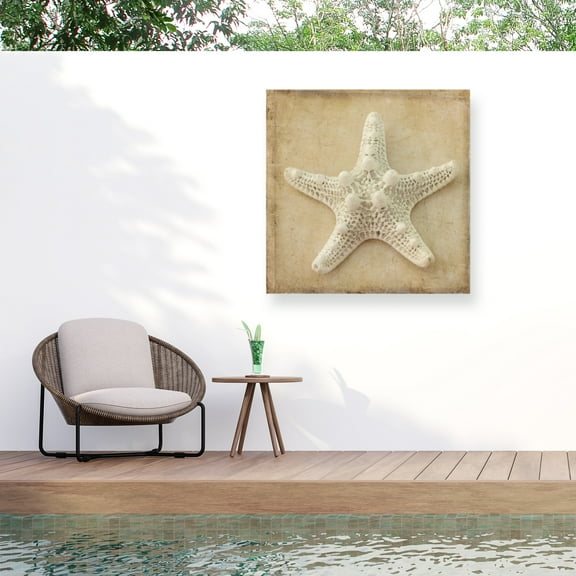 Judy Stalus 'Sepia Shell I' Outdoor Canvas 14x14