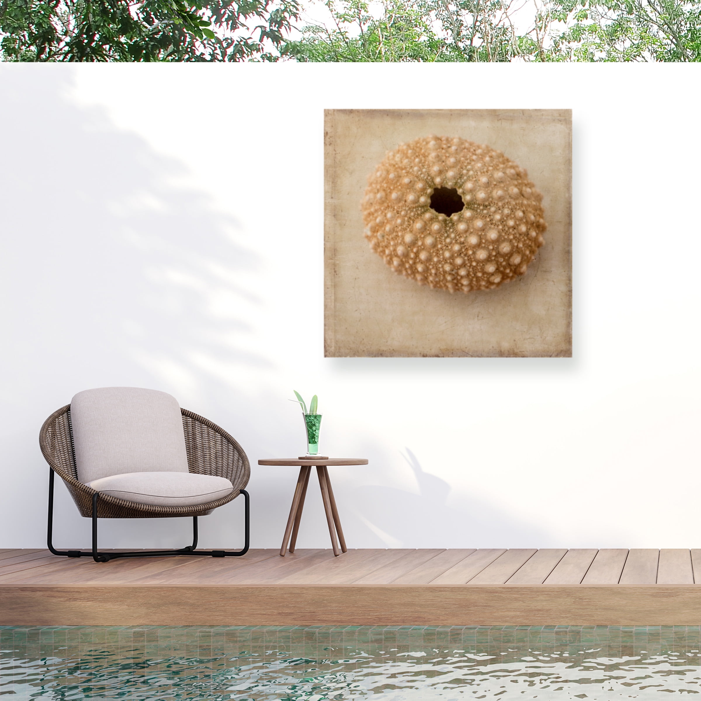 Judy Stalus 'Sepia Shell III' Outdoor Canvas 24x24