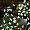 thumbnail image 1 of 2 Pack Solar Flower String Lights Outdoor 50 LED 23 FT, Juhefa Waterproof Fairy Light, Cherry Blossoms Lights for Christmas Tree, Patio, Garden, Fence, Bush Decorations (White), 1 of 7