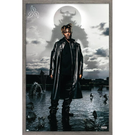 Juice WRLD - Fighting Demons Album Cover Wall Poster, 14.725" x 22.375" Framed