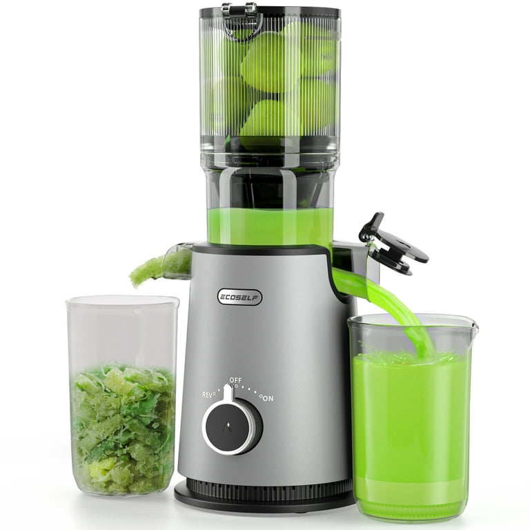 Best juicer 2019 best sale