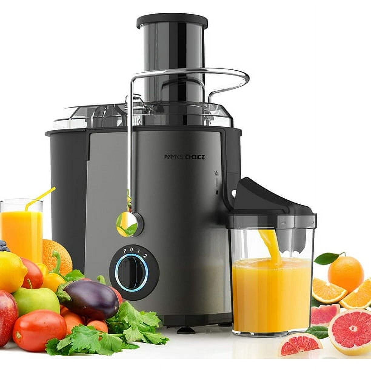 Canoly Masticating Juicer, 250W with 3.5-inch Large Chute for Vegetable +  Fruit