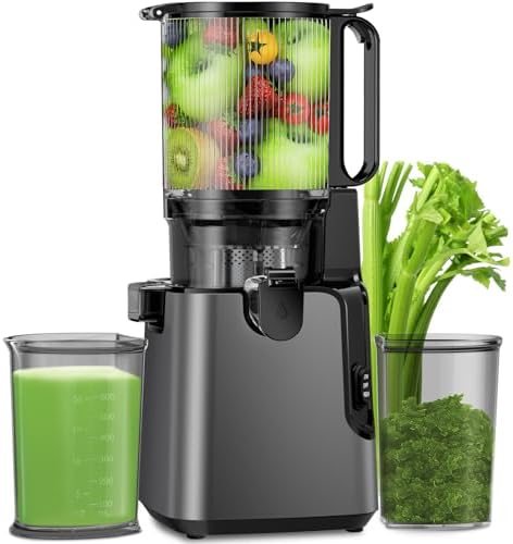Juicer Machines with 5.8" Large Feed Chute, Cold Press Juicer for Whole Vegetables and Fruits 400W, Slow Masticating juicer Easy to Clean Juice Extractor Machine High Juice Yield