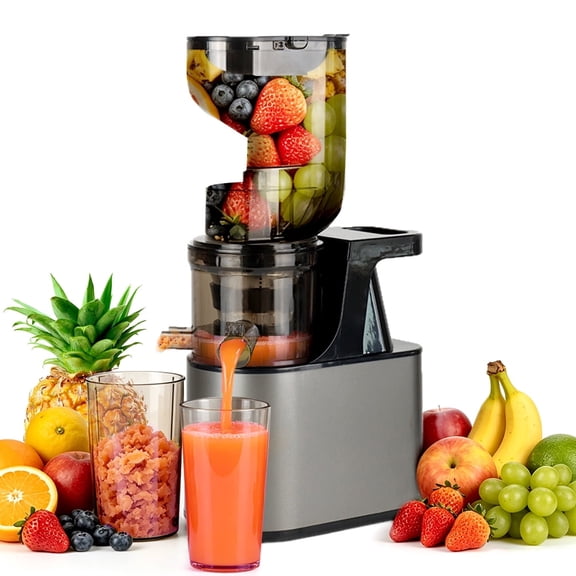 Juicer Machines with 6.3" Large Chute, 2-in-1 Cold Press Juicer for Whole Vegetables Fruits 300W, Masticating juicer Easy to Clean Juice Extractor Machine for Making Nut Mike, Juice, Premium Gray