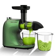 Juicer Machines, Slow Masticating Juicer for Vegetable and Fruit, Cold Press Juicer Extractor Easy to Clean with Total Pulp Control, Quiet Motor