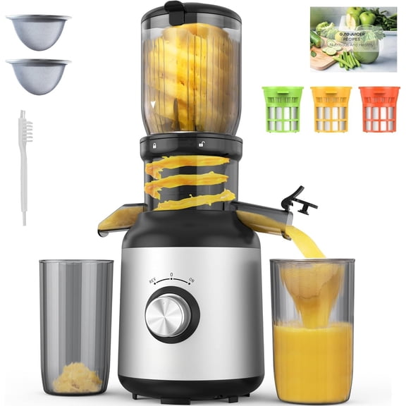 Juicer Machines, Slow Masticating Juicers with Large Feed Chute for Whole Fruits & Vegetables, Cold Press Juicer with 3 Filters for Batch Juicing, Easy to Clean, ()