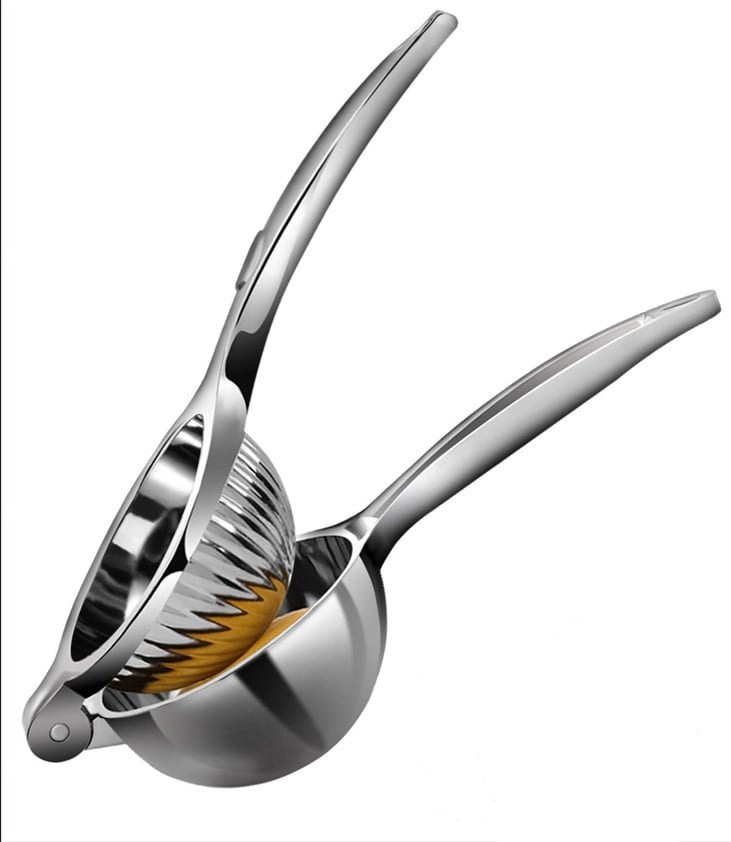 Juicer Mixer Grinder Fruit Juicer Presser Juicer Cold Extractor Manual