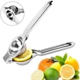 Juicing Books Italian Tomato Juicer Handheld Auto Vegetable Juicer Easy