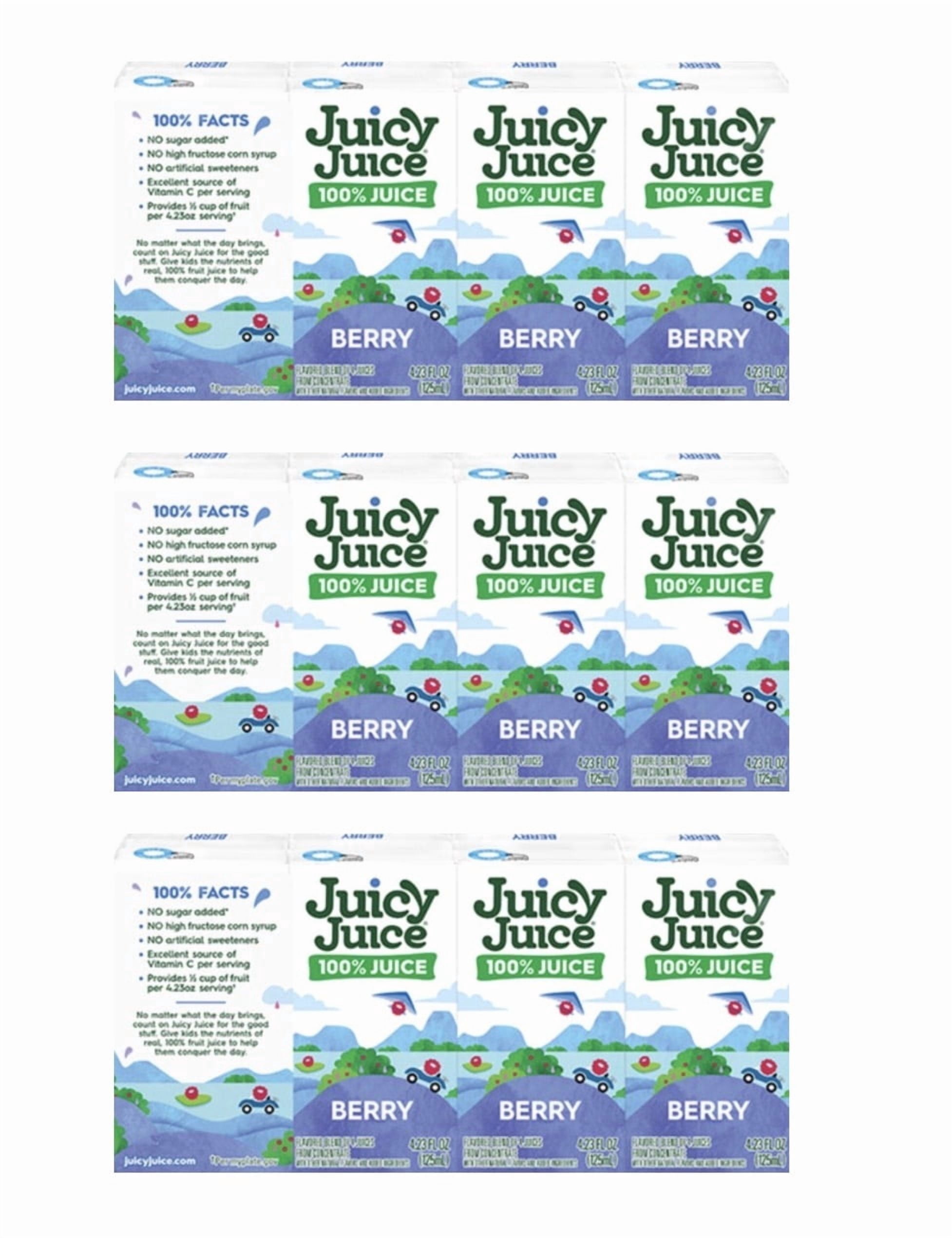 Juicy Juice 12ct Fruit Box Bundle Berry Flavor 4.23oz Fruit Juice