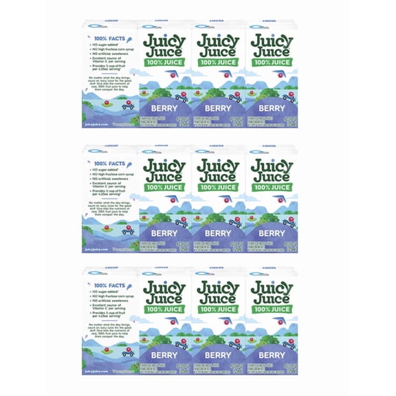 Juicy Juice 12ct Fruit Box Bundle Berry Flavor 4.23oz Fruit Juice 100%
