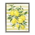 thumbnail image 1 of Stupell Industries Juicy Lemon Vine & Stripes Gray Framed Floater Canvas Wall Art, design by Paul Brent, 21 x 17, 1 of 9