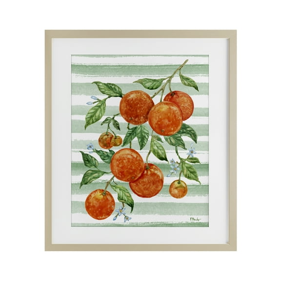 Stupell Industries Juicy Orange Vine & Stripes Birch Framed Print Under Glass, design by Paul Brent, 16 x 13